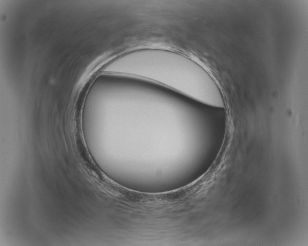X0000080160199200612081035
