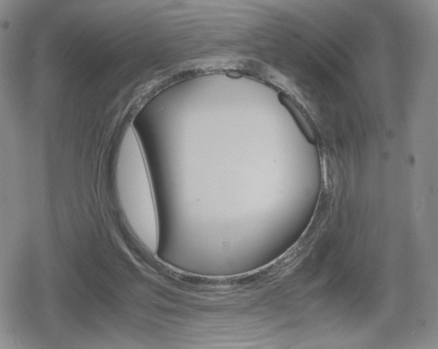 X0000080160205200612081035