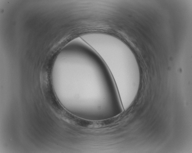X0000080160211200612081035