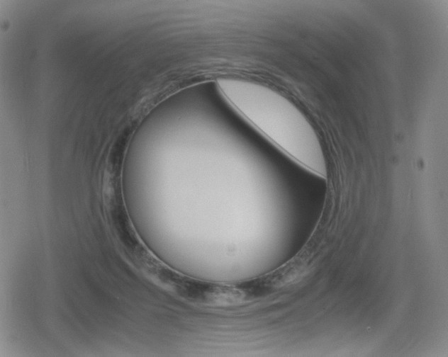 X0000080160215200612081035