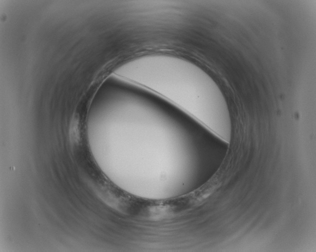 X0000080160216200612081035