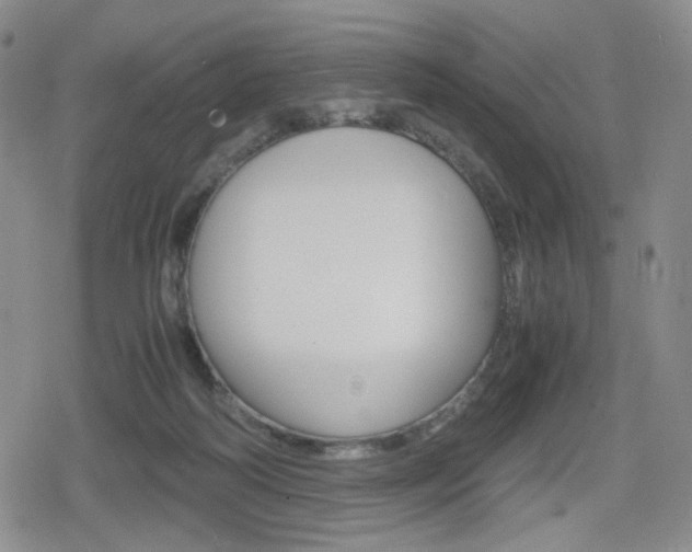 X0000080160218200612081035