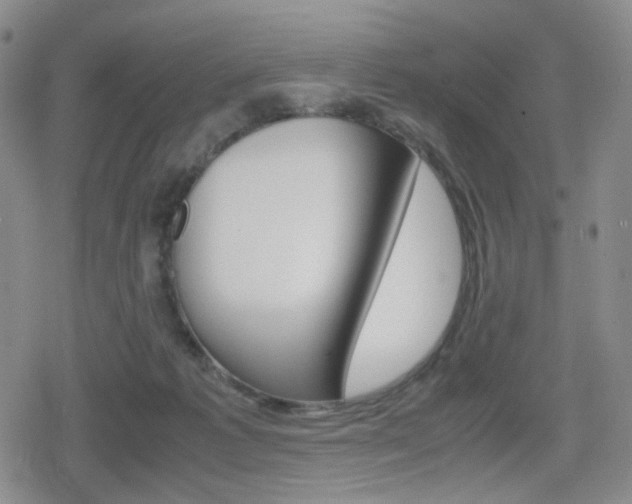 X0000080160221200612081035