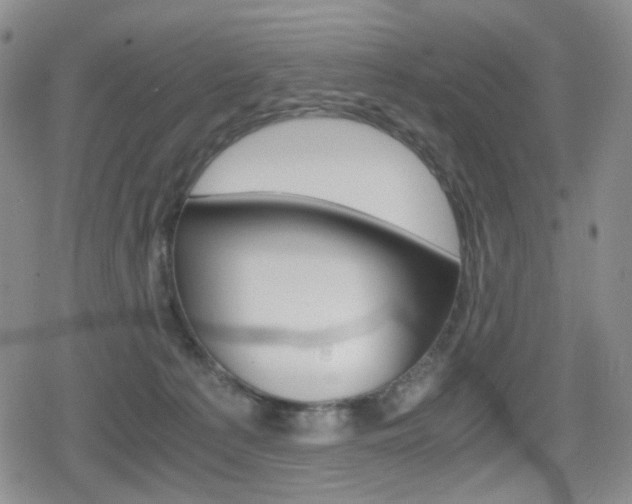 X0000080160225200612081035