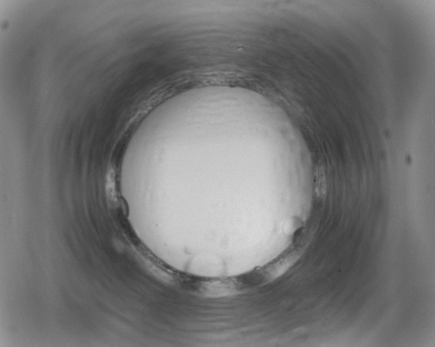 X0000080160238200612081035