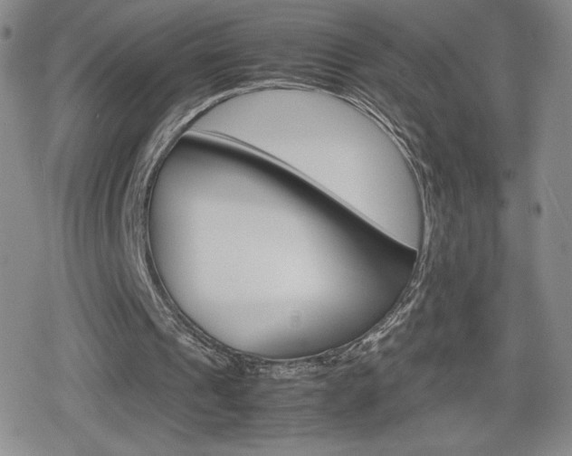X0000080160241200612081034