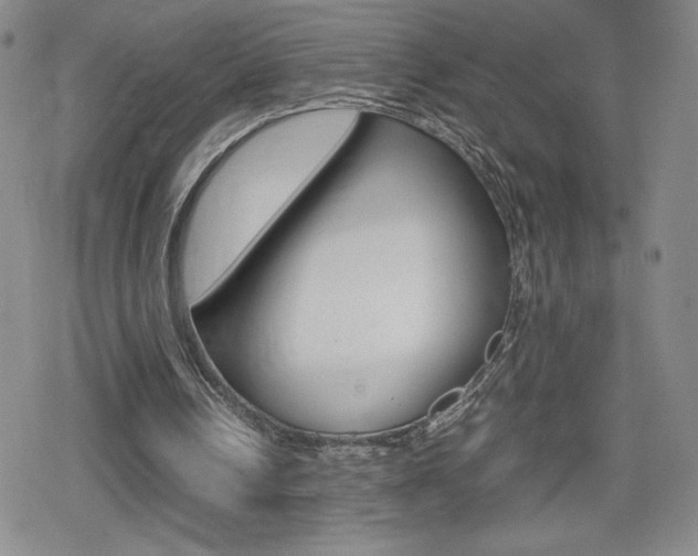 X0000080160242200612081034