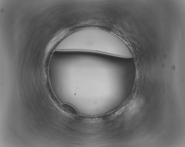 X0000080160245200612081034