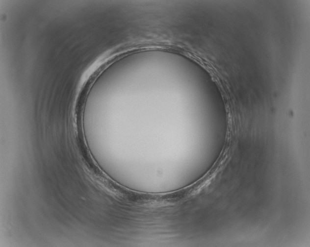 X0000080160246200612081034