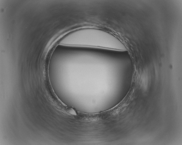 X0000080160247200612081034