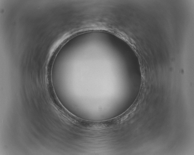 X0000080160248200612081034
