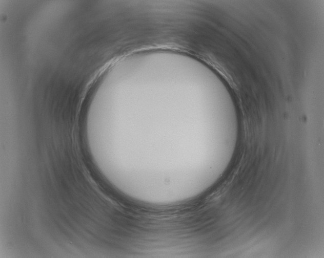 X0000080160252200612081034