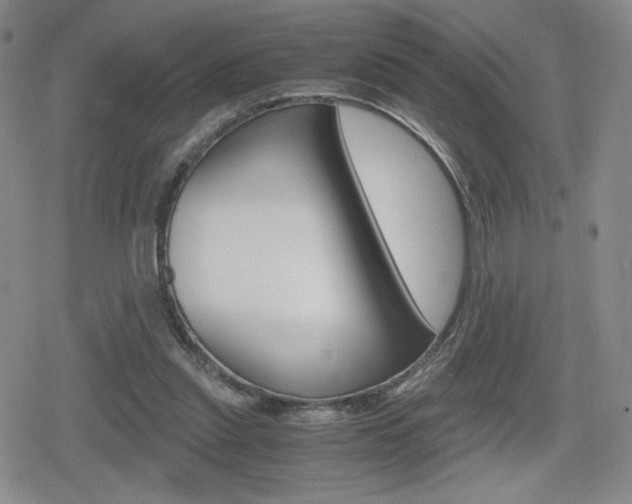 X0000080160253200612081034
