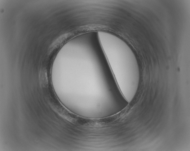 X0000080160254200612081034