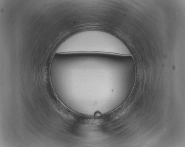 X0000080160255200612081034