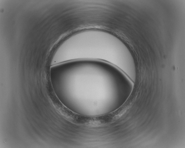 X0000080160256200612081034