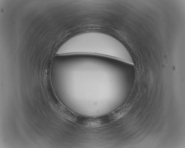 X0000080160263200612081034