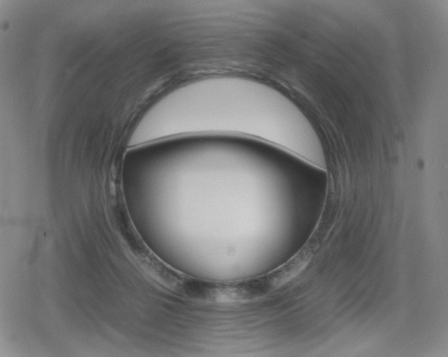 X0000080160264200612081034