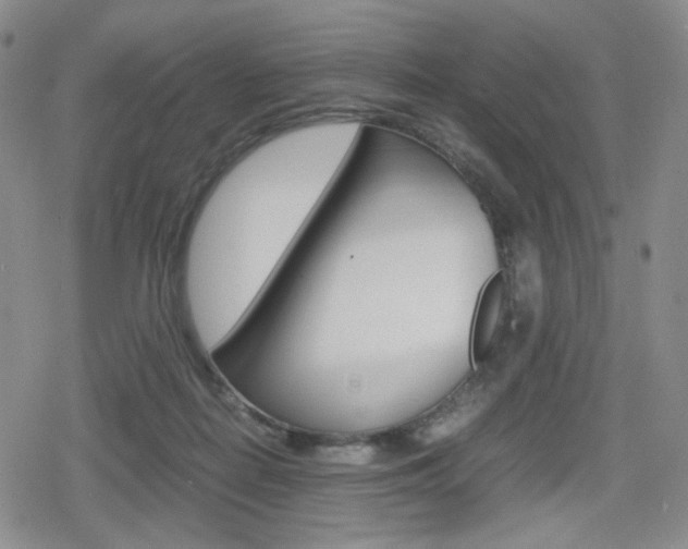 X0000080160266200612081034