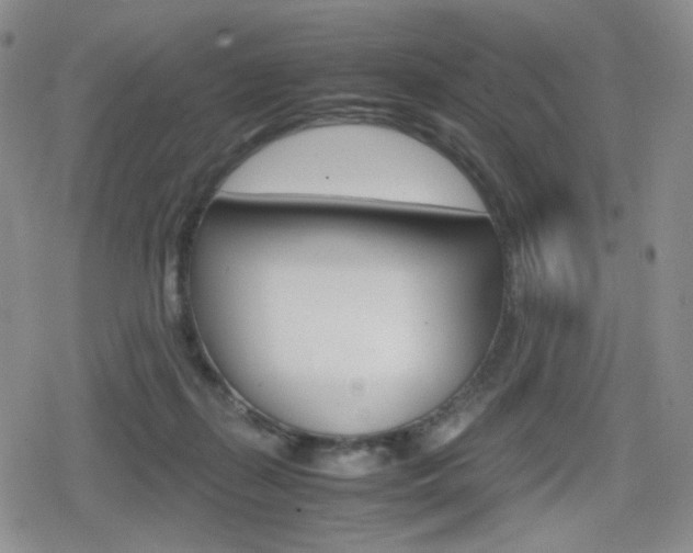 X0000080160267200612081034