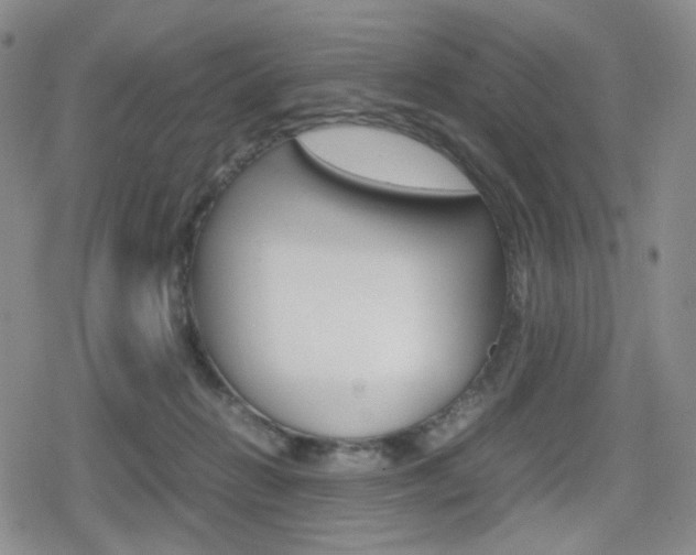 X0000080160270200612081034