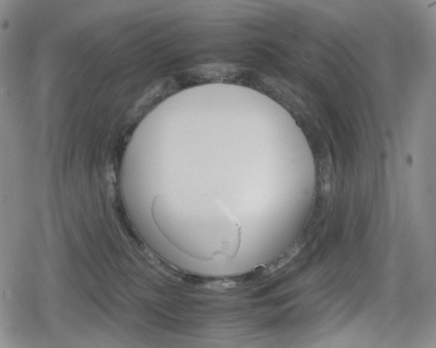 X0000080160279200612081035