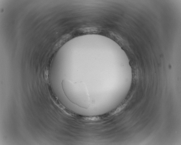 X0000080160281200612081035