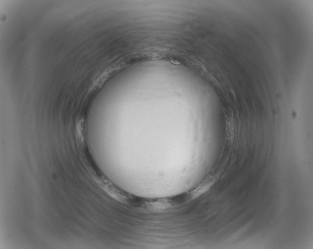 X0000080160286200612081035