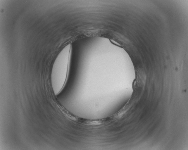 X0000080160287200612081035