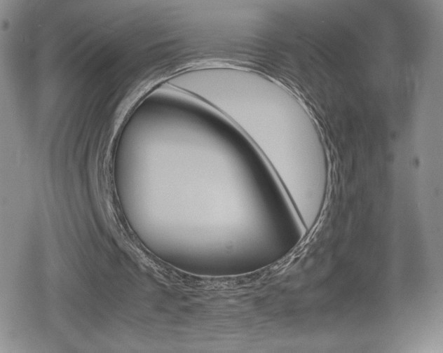 X0000080160289200612081034