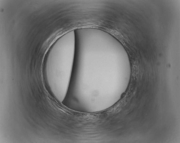 X0000080160290200612081034