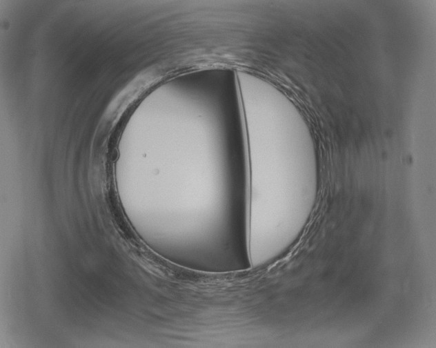 X0000080160291200612081034
