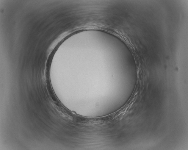 X0000080160292200612081034