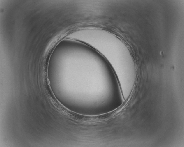 X0000080160293200612081034