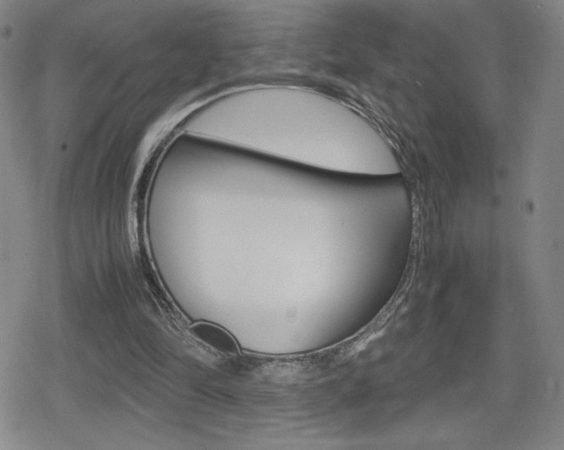 X0000080160294200612081034