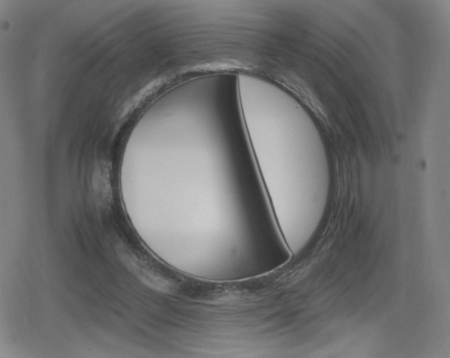 X0000080160300200612081034