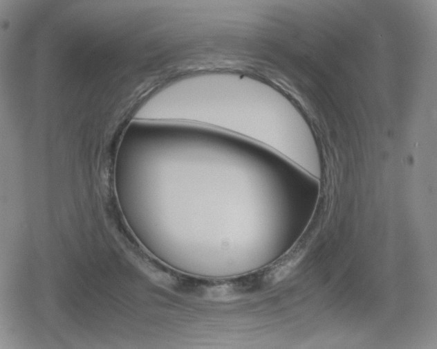 X0000080160309200612081034