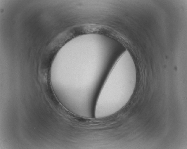 X0000080160315200612081034