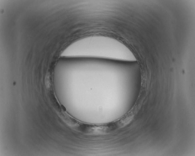 X0000080160323200612081033