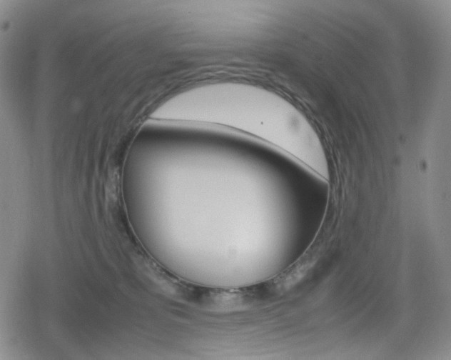 X0000080160325200612081033