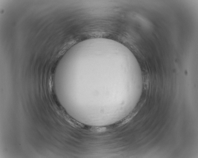 X0000080160334200612081033