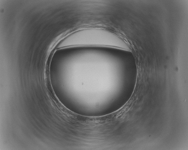 X0000080160340200612081032