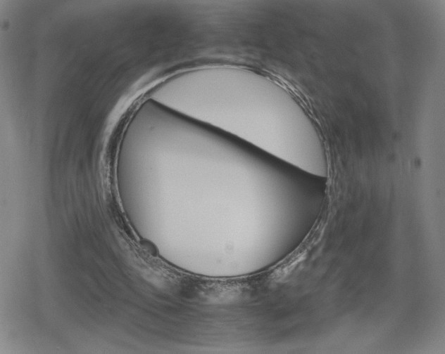 X0000080160343200612081033