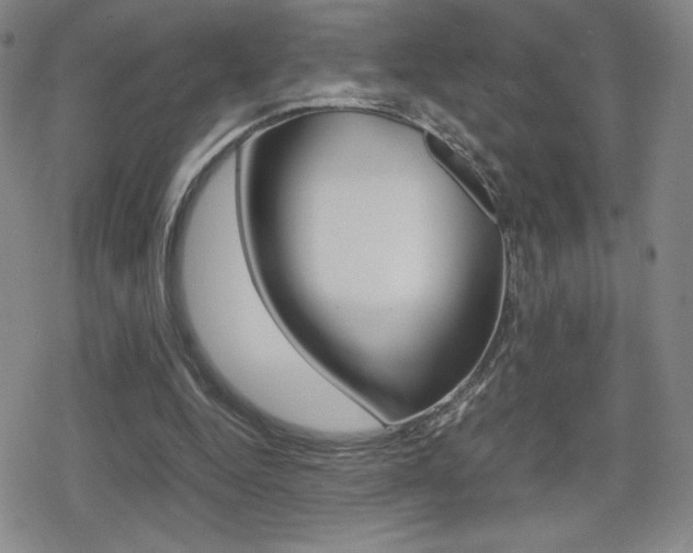 X0000080160344200612081033