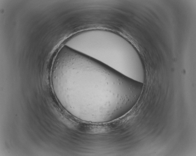 X0000080160347200612081033