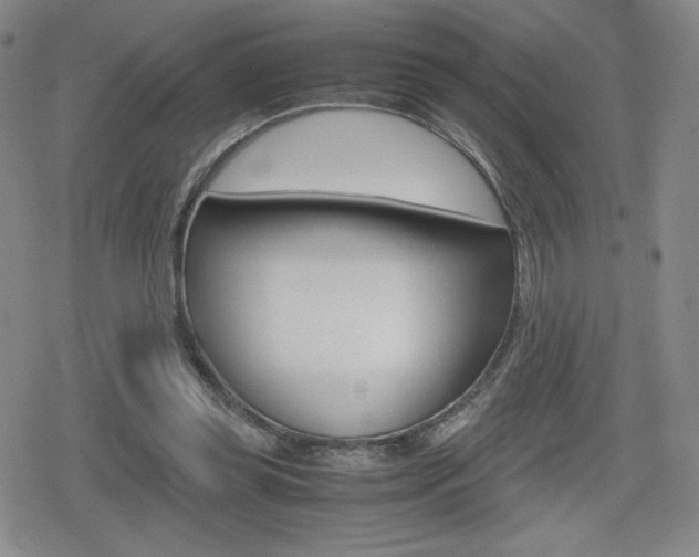 X0000080160349200612081033