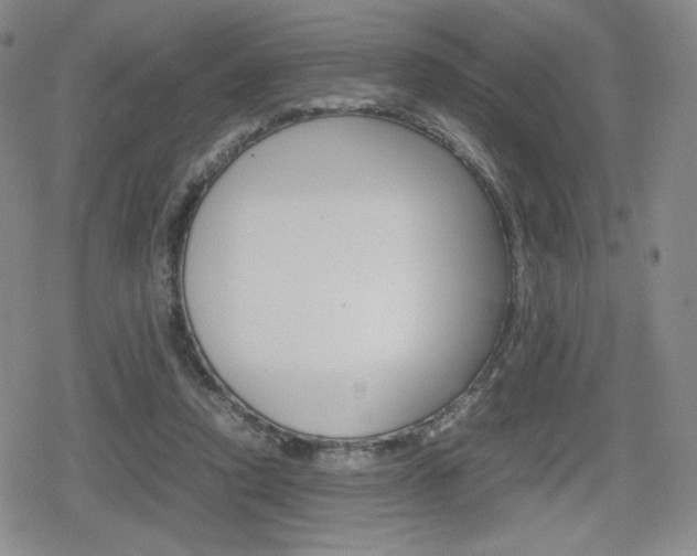 X0000080160354200612081033