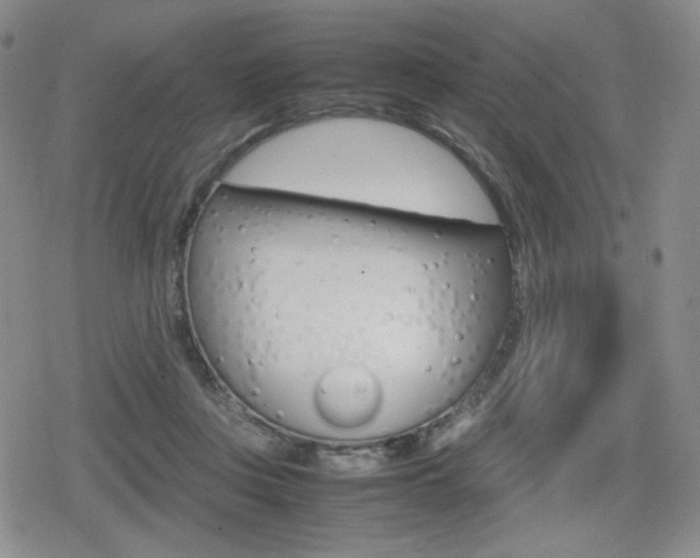 X0000080160359200612081033