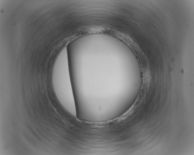 X0000080160360200612081033