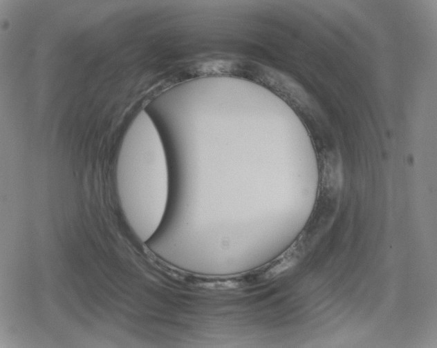X0000080160363200612081033